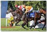 8. dostihy -30. Slovensk derby spolonosti MPL 