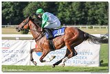 8. dostihy -30. Slovensk derby spolonosti MPL 