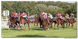 8. dostihy -30. Slovensk derby spolonosti MPL 