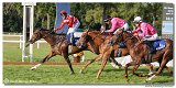 8. dostihy -30. Slovensk derby spolonosti MPL 