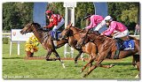 8. dostihy -30. Slovensk derby spolonosti MPL 