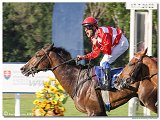 8. dostihy -30. Slovensk derby spolonosti MPL 