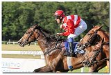 8. dostihy -30. Slovensk derby spolonosti MPL 