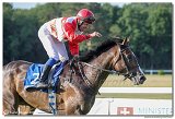 8. dostihy -30. Slovensk derby spolonosti MPL 