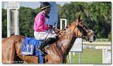 8. dostihy -30. Slovensk derby spolonosti MPL 