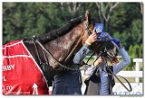 8. dostihy -30. Slovensk derby spolonosti MPL 