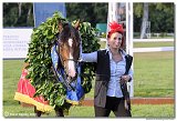 8. dostihy -30. Slovensk derby spolonosti MPL 