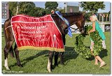 8. dostihy -30. Slovensk derby spolonosti MPL 