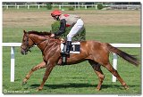 4. dostihy -Cena Kansasa 