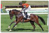 4. dostihy -Cena Kansasa 