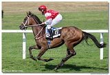 4. dostihy -Cena Kansasa 