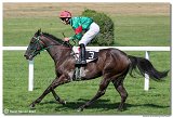 4. dostihy -Cena Kansasa 