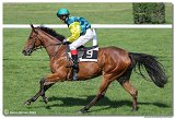 4. dostihy -Cena Kansasa 