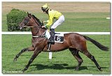 4. dostihy -Cena Kansasa 