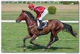 4. dostihy -Cena Kansasa 