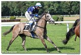 4. dostihy -Cena Kansasa 