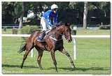 4. dostihy -Cena Kansasa 