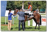 4. dostihy -Cena Kansasa 