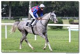 6. dostihy - Cena turfu spolonosti ITP Control 