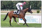 6. dostihy - Cena turfu spolonosti ITP Control 