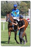7. dostihy - Cena Whisky 
