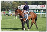 7. dostihy - Cena Whisky 