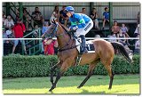 7. dostihy - Cena Whisky 