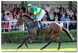 7. dostihy - Cena Whisky 