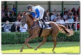7. dostihy - Cena Whisky 