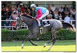7. dostihy - Cena Whisky 
