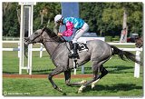 7. dostihy - Cena Whisky 