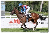 7. dostihy - Cena Whisky 