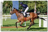 7. dostihy - Cena Whisky 