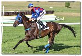 8. dostihy - 28. Zlat bik 