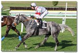 8. dostihy - 28. Zlat bik 
