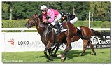 8. dostihy - 28. Zlat bik 