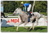 8. dostihy - 28. Zlat bik 