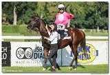 8. dostihy - 28. Zlat bik 