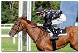 3. dostihy - Memoril MVDr. Tibora Staa 