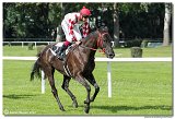 3. dostihy - Memoril MVDr. Tibora Staa 