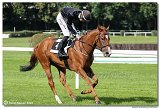 3. dostihy - Memoril MVDr. Tibora Staa 
