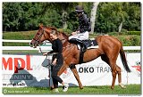 3. dostihy - Memoril MVDr. Tibora Staa 