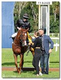 3. dostihy - Memoril MVDr. Tibora Staa 