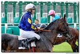 5. dostihy - Cena Vosy 