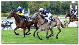5. dostihy - Cena Vosy 