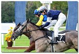 5. dostihy - Cena Vosy 