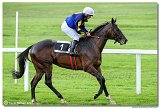 5. dostihy - Cena Vosy 