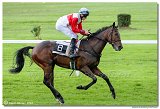 5. dostihy - Cena Vosy 
