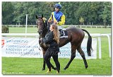 5. dostihy - Cena Vosy 