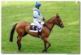 7. dostihy - Memoril Otta Suchovskho 